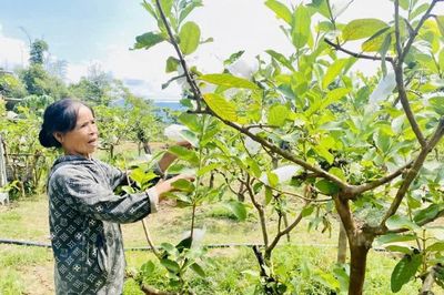 Phát huy vai trò chủ thể của nông dân trong kỷ nguyên mới