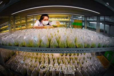 Giữ truyền thống, bắt nhịp thời đại