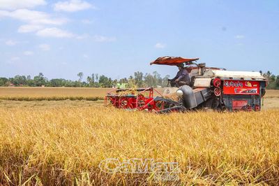 Nông nghiệp sinh thái hướng đến tương lai xanh