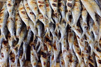 Đi chợ gặp 2 loại cá này, đừng vội xem là món ăn 'nhà nghèo': Giá trị dinh dưỡng cao, tốt cho xương khớp mà nhiều người bỏ qua