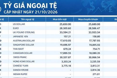 Tỷ giá ngoại tệ ngày 21/10/2026: USD mua vào 25.680 đồng