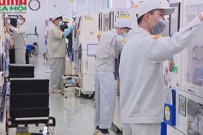 Gần 15.000 doanh nghiệp được hoàn thuế