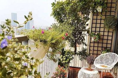 Những đồ vật tuyệt đối không để ở ban công