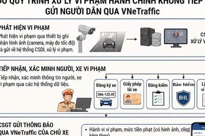 Dự kiến quy trình xử lý vi phạm giao thông toàn trình trên VNeTraffic