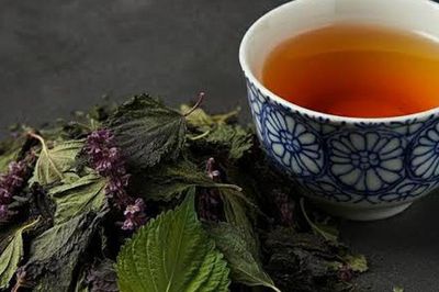 Người mắc cúm A có nên uống nước tía tô?