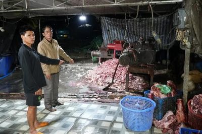 Triệt phá đường dây tiêu thụ 400 tấn lợn bệnh, lợn chết
