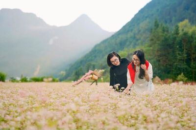 Phố Bảng - điểm hẹn mùa hoa Tam giác mạch