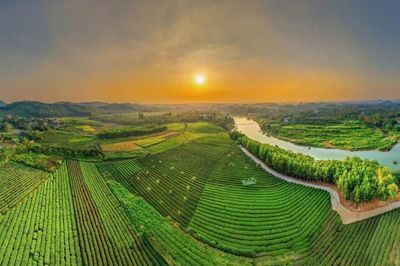 Thái Nguyên: Sẵn sàng đánh thức hương trà, kết nối di sản và du lịch