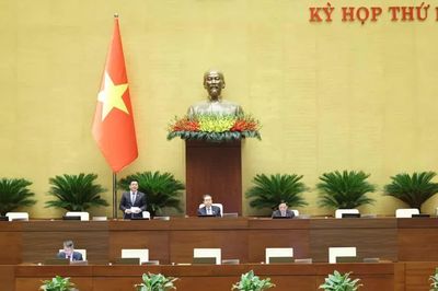 Sửa Luật Đất đai: Thu hồi đất dự án nếu quá 60 tháng không đưa vào sử dụng