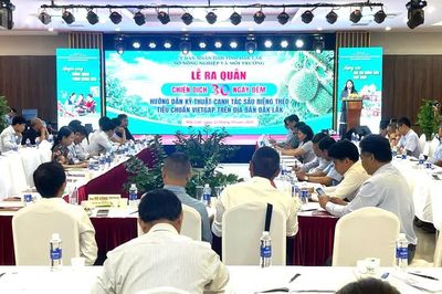 Đắk Lắk ra quân chiến dịch 30 ngày đêm hướng dẫn kỹ thuật canh tác cây sầu riêng theo tiêu chuẩn VietGAP