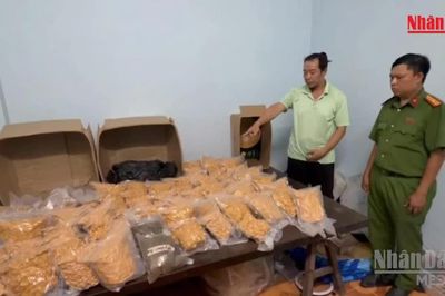 [Video] Công an TP Hồ Chí Minh triệt phá đường dây ma túy liên tỉnh cực lớn, bắt 151 đối tượng