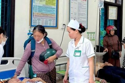 Học sinh hiếu động dùng đá ném tổ ong, 27 em bị đốt phải nhập viện