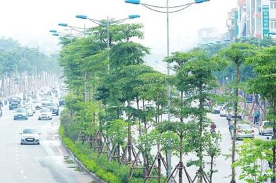 Bước chuyển trong phát triển hạ tầng xanh Hà Nội