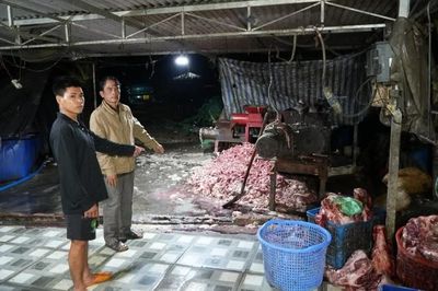 Công an Đồng Nai triệt phá đường dây tuồn 400 tấn heo bệnh chết ra thị trường