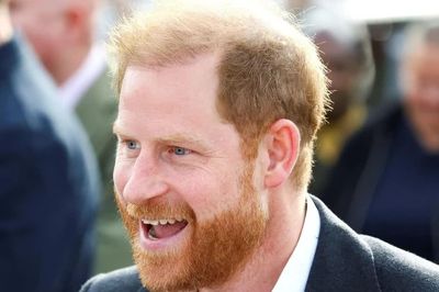 Ý định thực sự của Harry