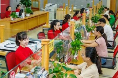 Nền kinh tế Việt Nam đang phụ thuộc nguồn vốn nào?