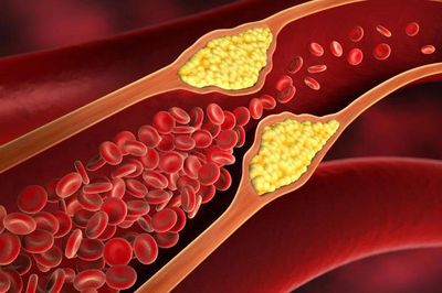 2 bộ phận cơ thể thay đổi sau tuổi 40 không thể nhìn thấy