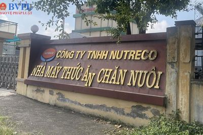 Xử phạt hàng tỉ đồng với 8 cơ sở gây ô nhiễm môi trường tại các khu công nghiệp ở Bắc Ninh