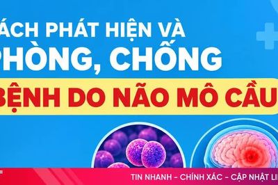 [Infographic] Cách phát hiện và phòng, chống bệnh do não mô cầu