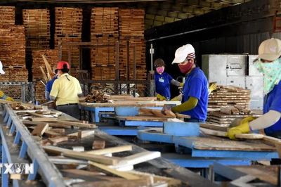 Hướng tới mục tiêu giá trị xuất khẩu lâm sản đạt trên 20 tỷ USD vào năm 2030