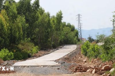 Đắk Lắk khắc phục bất cập về giao thông, sản xuất xung quanh cao tốc