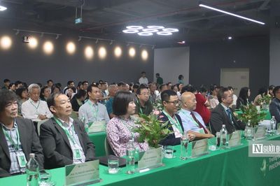 Lạm dụng AI có thể làm suy giảm tư duy độc lập của sinh viên