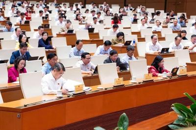 Đề xuất bỏ quy hoạch sử dụng đất, mỗi thửa đất có mã định danh riêng