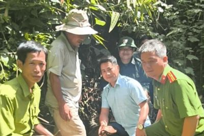 Người dân bàn giao rùa núi vàng đi lạc