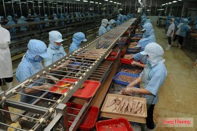 Cơ hội từ VIFTA: Thủy sản Việt sang Israel tăng mạnh
