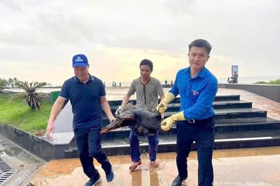 Những bí thư đoàn xung kích, tình nguyện vì môi trường