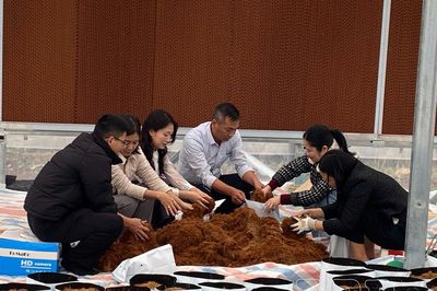 Đưa công nghệ vào sản xuất