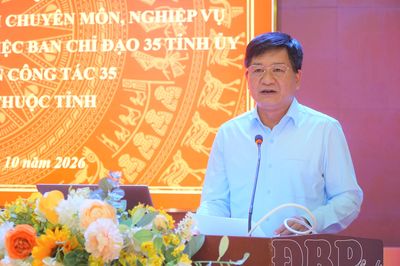 Bồi dưỡng chuyên môn, nghiệp vụ lực lượng tham mưu, giúp việc Ban Chỉ đạo 35 Tỉnh ủy