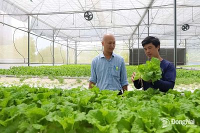 Xây dựng nếp sống nông thôn văn minh, hiện đại