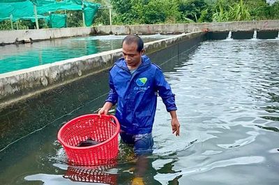Triển vọng mô hình nuôi cá tầm ở "ốc đảo" Kon Pne