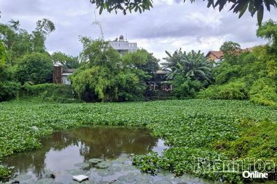 Cần sớm đầu tư hoàn thiện kè sông Tô Giang