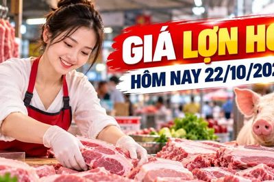 Giá lợn hơi hôm nay 22/10: Cả nước dao động 47.000 - 52.000 đồng/kg