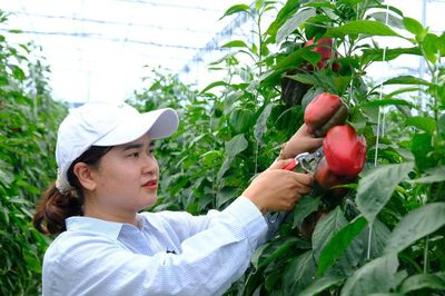 Người phụ nữ Churu mạnh dạn đổi mới