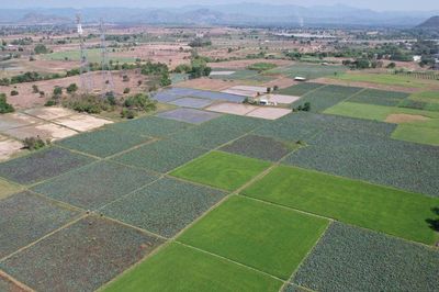 Hồng Sơn khai thác lợi thế nông nghiệp