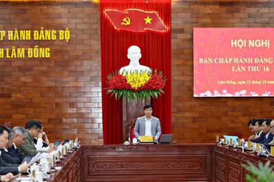 Lâm Đồng điều chỉnh chủ trương đầu tư dự án cao tốc Tân Phú - Bảo Lộc
