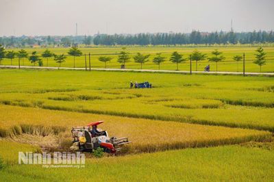 Phát triển nông nghiệp sinh thái, tuần hoàn: Hướng đi tất yếu cho phát triển bền vững của Ninh Bình
