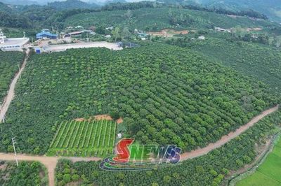 Để Arabica Sơn La vươn tầm thế giới