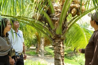Phụ nữ ở Đạo Thạnh thêm lợi ích nhờ cách làm hay của HTX