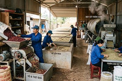 Cà phê Việt Nam từ lợi thế nguyên liệu đến năng lực cạnh tranh