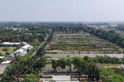 TP.HCM thu hồi khu đất gần 2.000 m² tại xã Tân Vĩnh Lộc