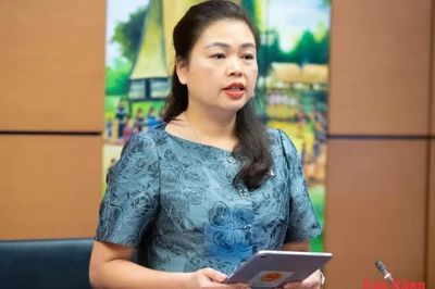 Đại biểu Quốc hội tỉnh góp ý dự án Luật Thực hiện dân chủ ở cơ sở (sửa đổi)