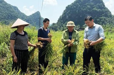 Tạo sinh kế bền vững cho đồng bào dân tộc thiểu số