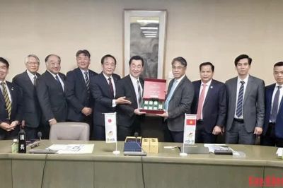 Kết nối kinh nghiệm Nhật Bản, phát huy giá trị di sản địa chất gắn với phát triển du lịch bền vững