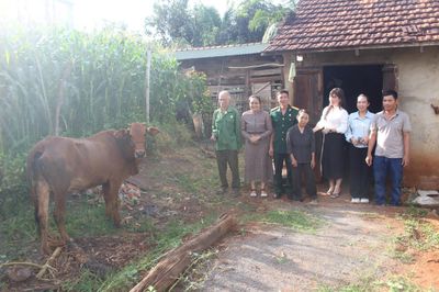 Xã Ea Nuôl (Đắk Lắk): Chuyển từ hỗ trợ sinh kế sang phát triển sản xuất theo chuỗi giá trị