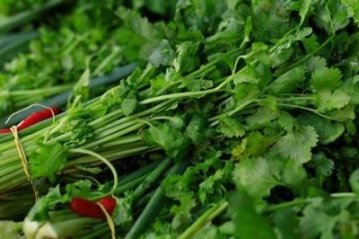 Rau an toàn: Lựa chọn thế nào để an tâm?