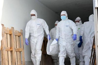 Nga và Ukraine trao đổi thi thể 277 quân nhân